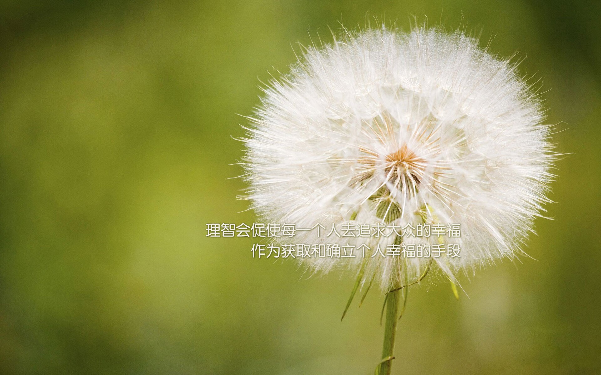 日本队比赛战术获国际认可,日本队比赛结果