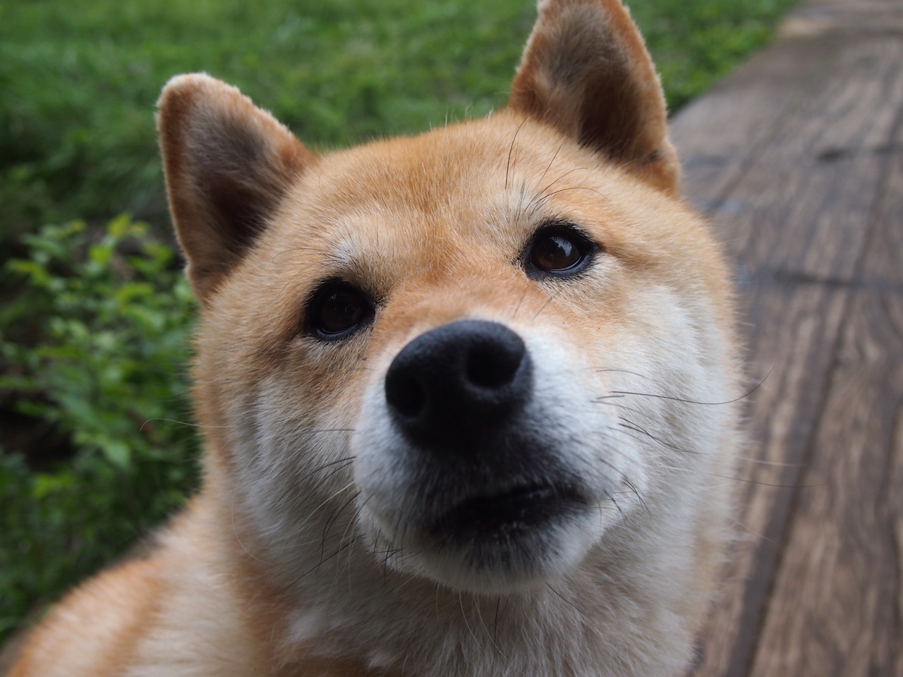 明星风采:场上场下的明星魅力全揭秘,明星现场秀演技