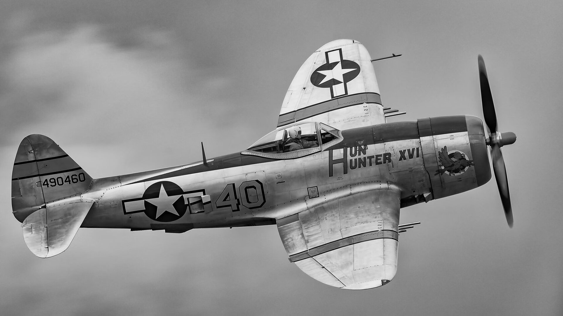 日本队球迷沸腾,全场呐喊助威!,日本球迷热议