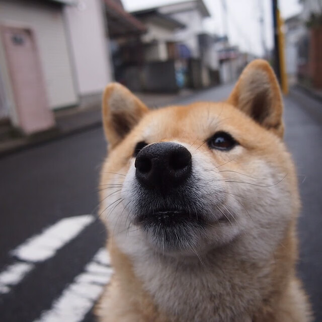 AYX爱游戏中国-电竞行业的数字化转型，推动行业步入全新发展阶段，电竞产业的职业化发展