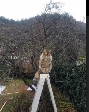 篮球主题街区打造“全民健身新地标”，篮球馆宣传视频