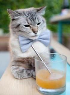 青少年“篮球节能环保”主题活动在全国多城市同步举行，青少年篮球赛事推广