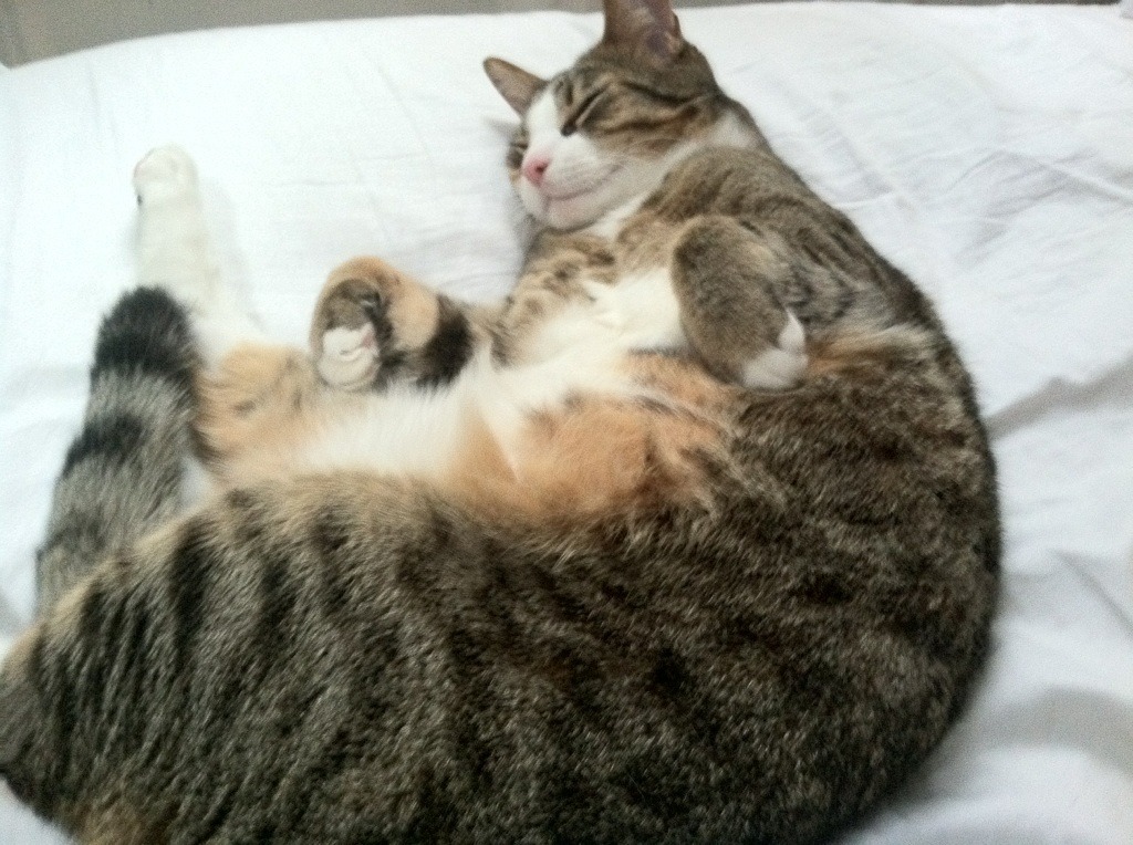 青少年篮球技能比赛热火朝天，发现明日之星，青少年篮球技巧大赛策划案