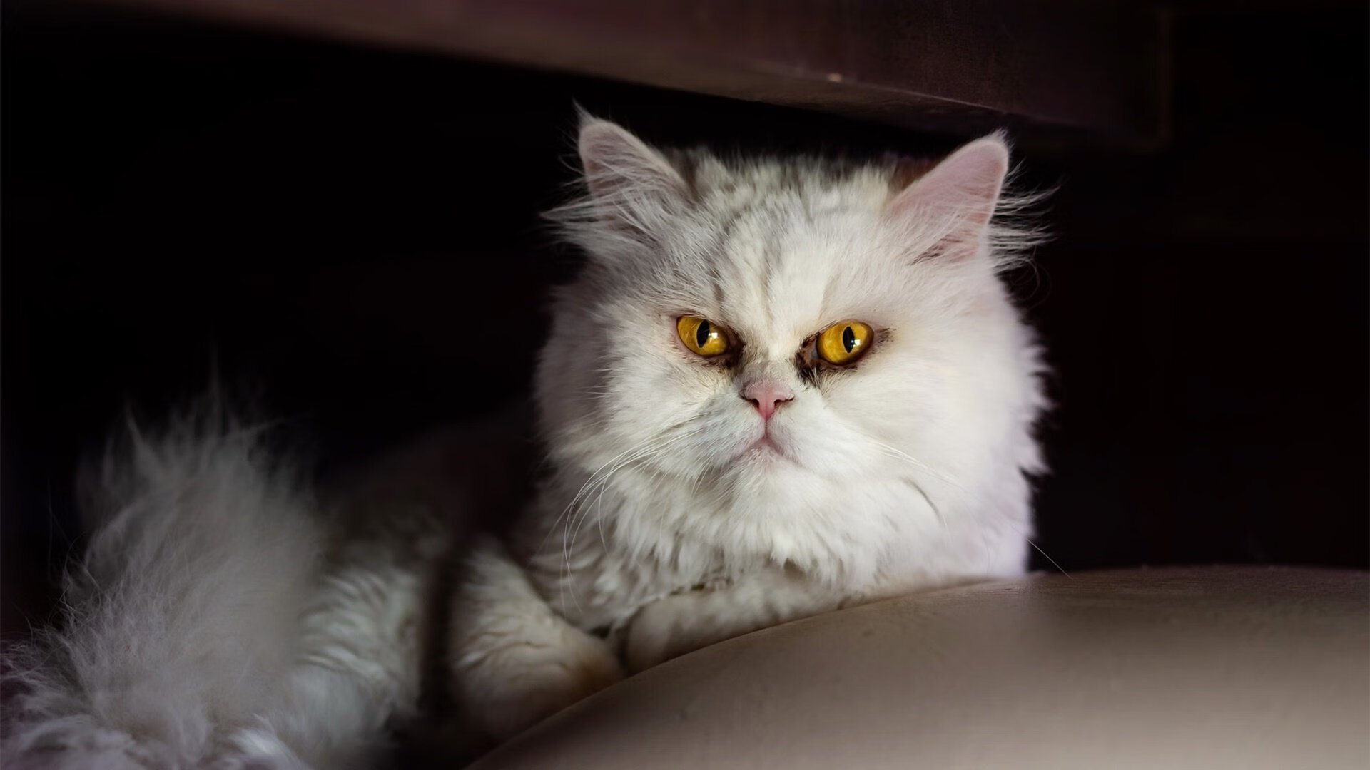 高端电竞赛事场馆设计，科技与艺术的完美融合，电竞比赛场地设计