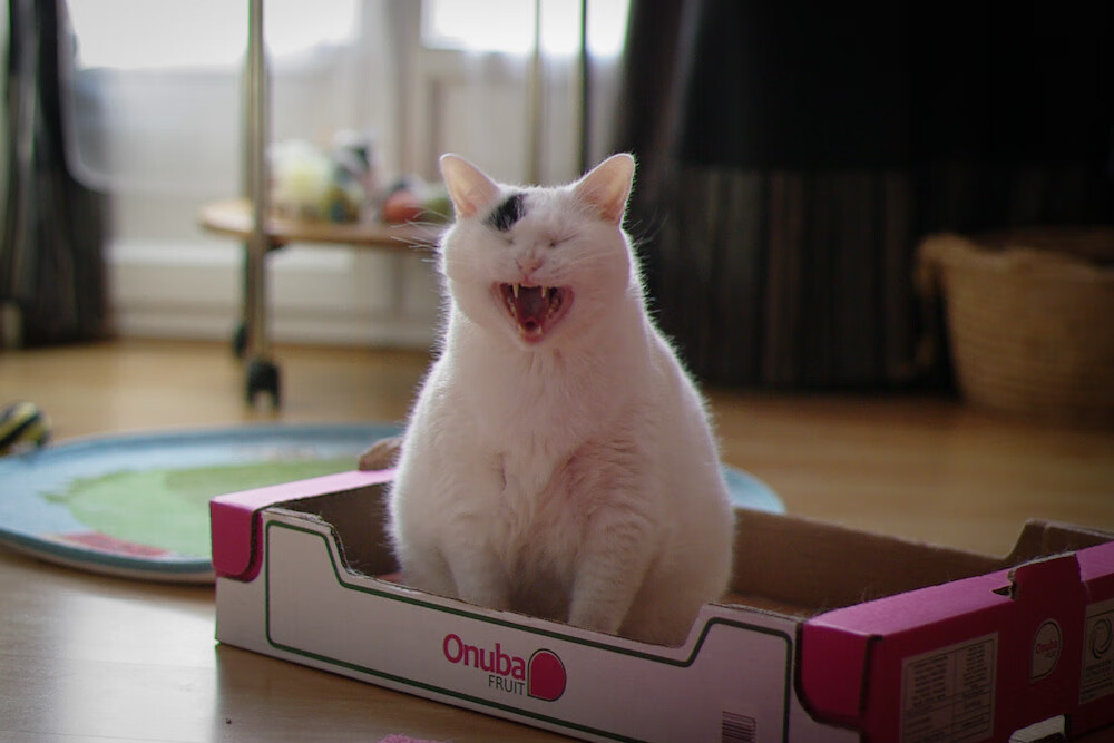 爱游戏中国官网-BLG训练营开放日吸引百余名青训选手，blg战队教练是谁