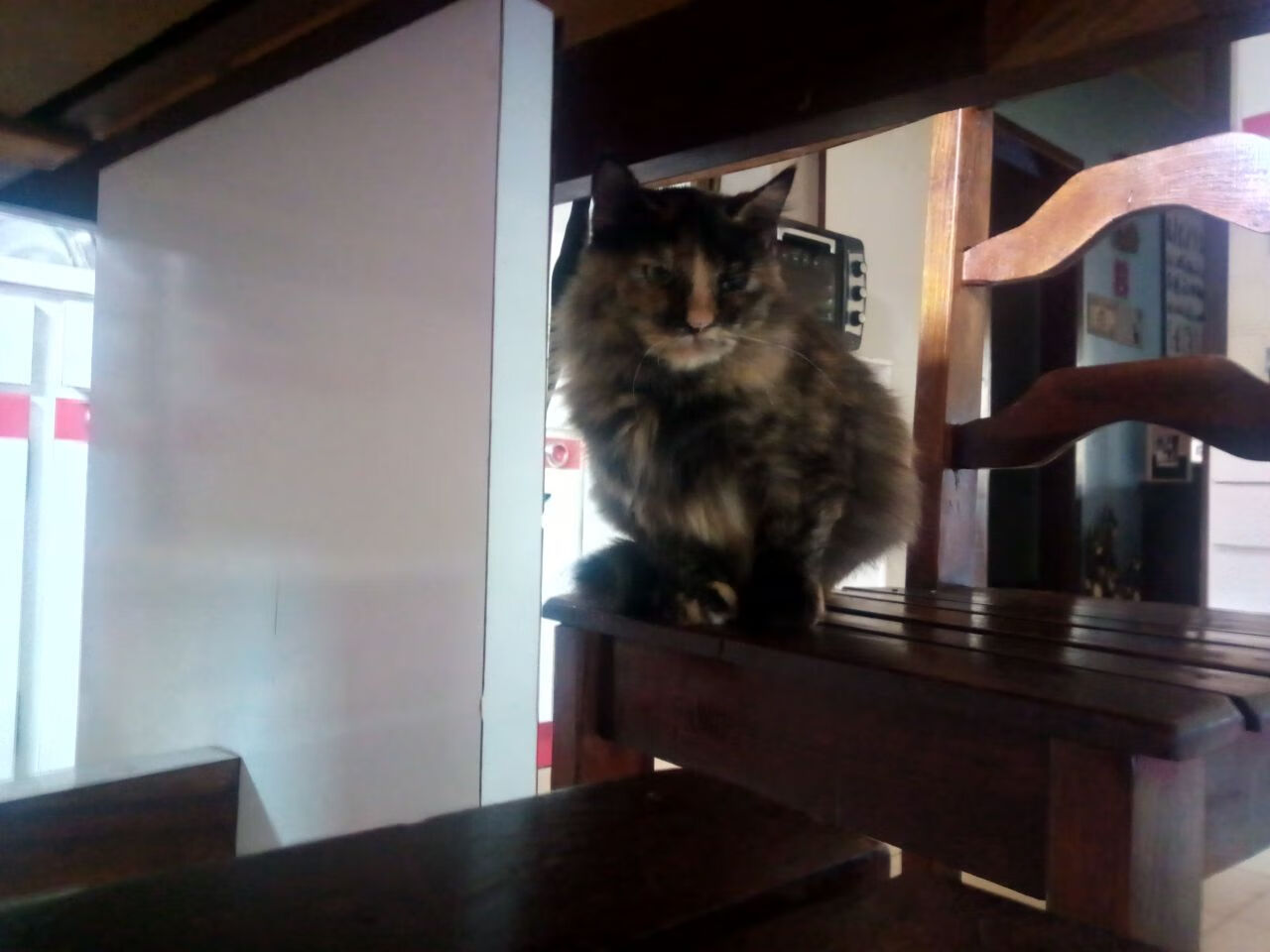 中国高尔夫球协会推动赛事国际化进程,中国高尔夫球协会成立时间