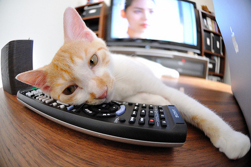 内马尔因膝伤缺席美洲杯，巴西队表现受影响，内马尔在巴西哪个俱乐部