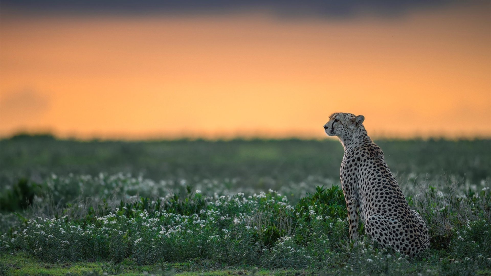 巴伦西亚客场战平巴伦西亚,遭遇平局,巴伦西亚是哪里