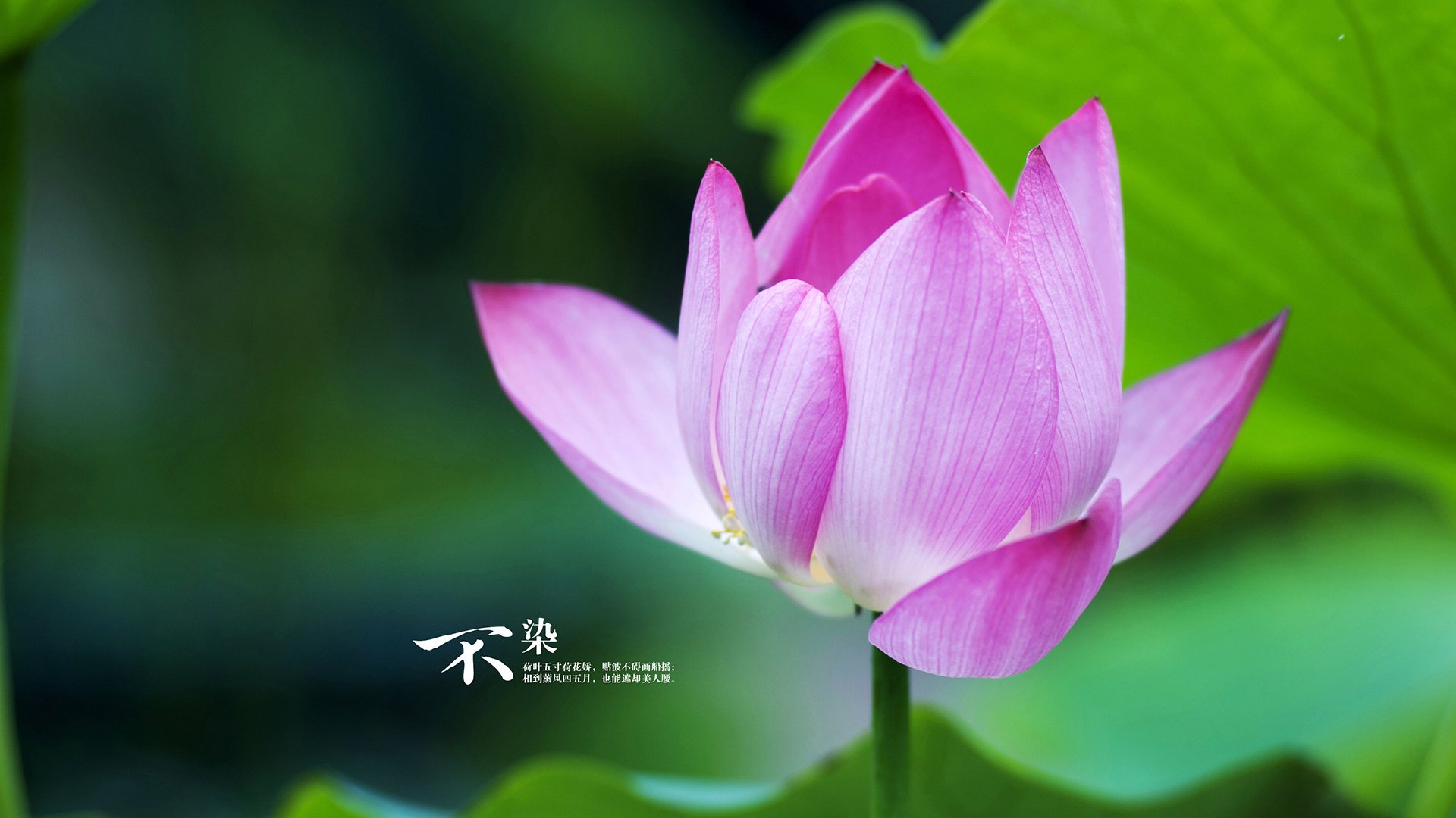 爱游戏品牌互动-日本奥运队战术多变，攻守兼备，日本奥运队战术多变,攻守兼备的原因