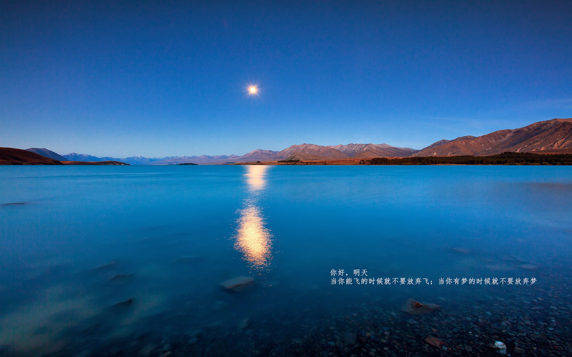 世界赛艇公开赛中国双人组进决赛,中国赛艇男子双人