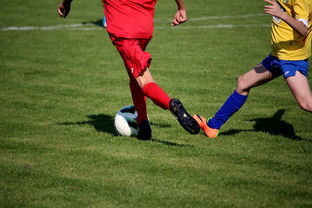 爱游戏游戏平台-世界男子排球联赛意大利主场折桂，意大利男子排球联赛直播