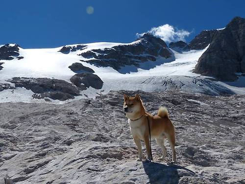 体育新闻中心推动体育短视频内容原创保护，如何创意体育类短视频